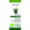 Afbeelding van Physalis Citronella bio