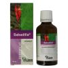 Afbeelding van Sabadilla