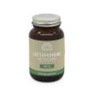 Afbeelding van Mattisson Lactoferrine 95% 500mg