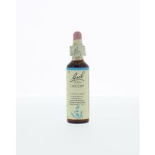 Foto van Chicory / cichorei