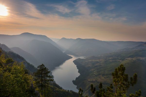 Tara National Park