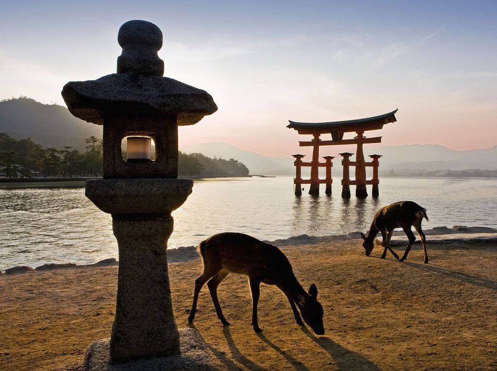 Japan, fakat drugačija zemlja i putovanje