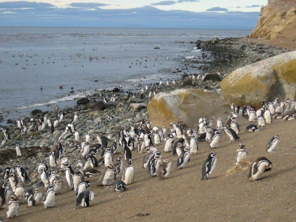 Patagonija, trek po Argentini i Čileu
