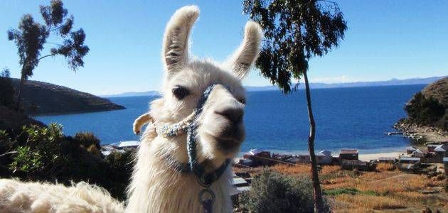 Peru, ljetni