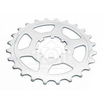 Miche Krans 19T Campa 11V