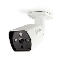 Nedis CCTV-Beveiligingscamera | Full HD 1080p | Nachtzicht: 25 m | Netvoeding | 1/3