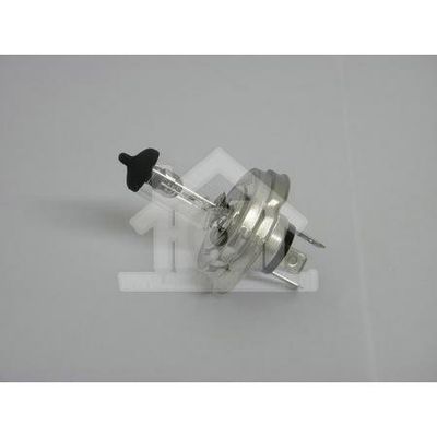 Lamp 12V-60/55W H4 P45T-41 Speciaal p/st