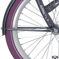 Alpina spatb stang set 22 Clubb purple grey