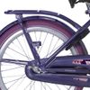 Afbeelding van Alpina achterdrager 22 Clubb purple grey
