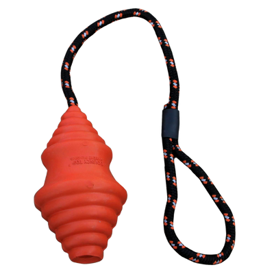 Foto van Fetch Dog Bouncy Top 12.5cm