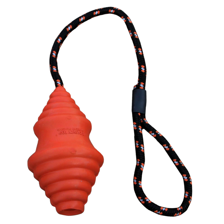 Foto van Fetch Dog Bouncy Top 12.5cm