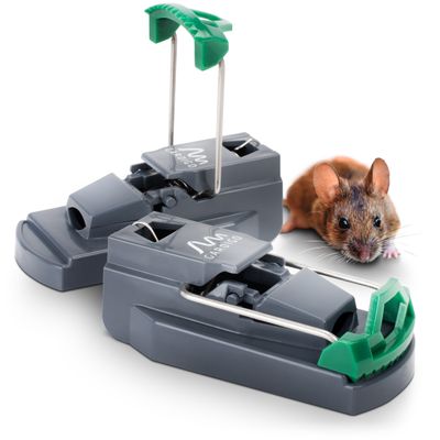 Foto van Slagmuizenval Profi 2er Set - Precisie Muizenval met Gesloten Lokaasvak - Gardigo