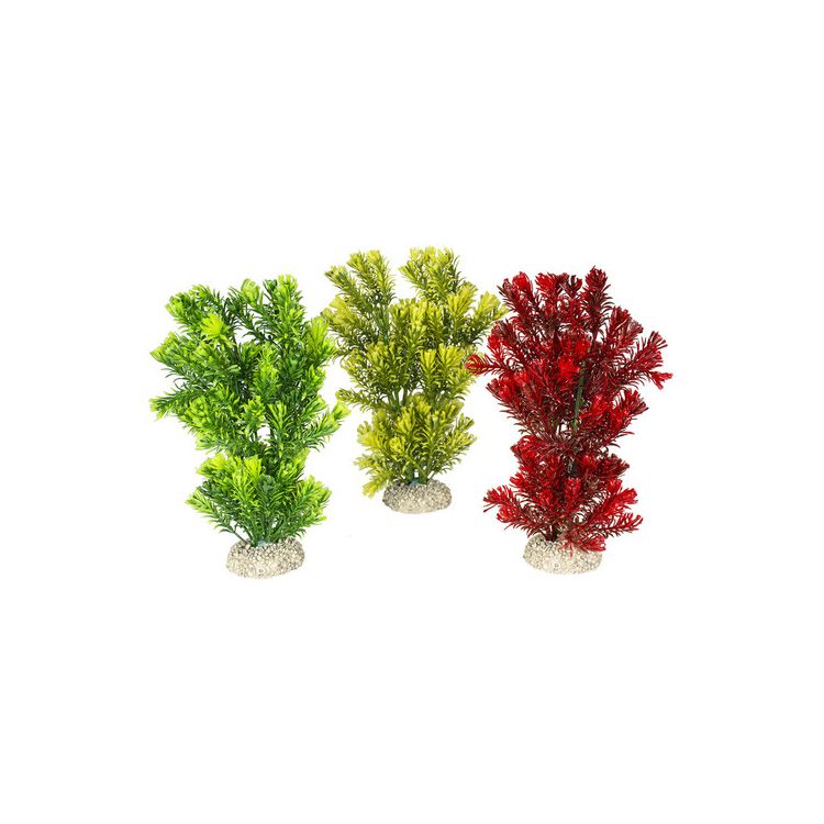 Foto van Aqua Della Decor plant Canadensis