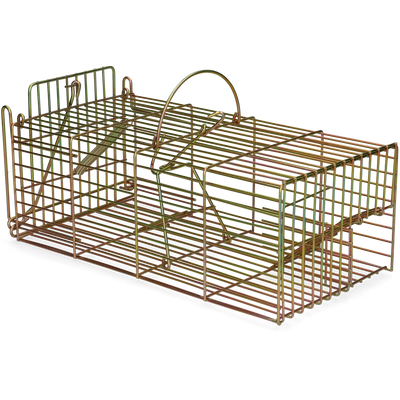 Foto van Inloopval rat levend massa