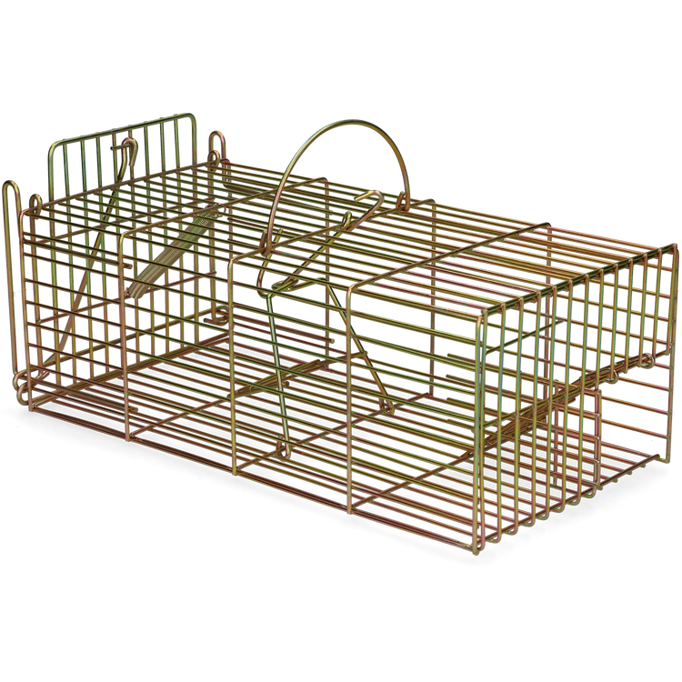 Foto van Inloopval rat levend massa