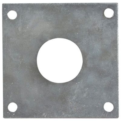 Foto van Best for Birds Beschermplaat Pimpelmees