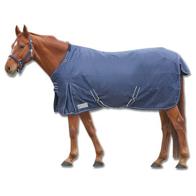 Foto van Waldhausen Regendeken Economic 200 gram