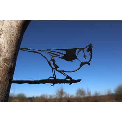 Foto van Vogel Cortenstaal - Kuifmees - Zwart