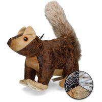 Elegant Squirrel Bruin