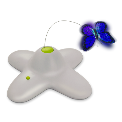 Foto van AFP Interactive Flutterbug