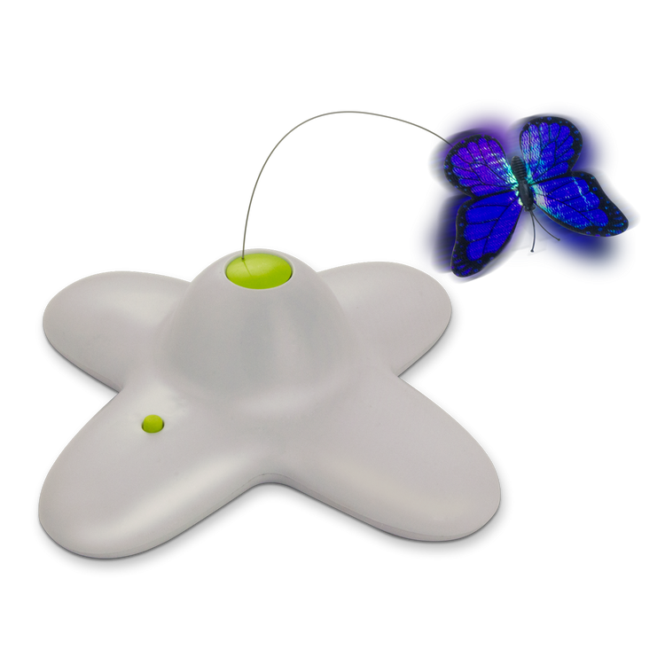 Foto van AFP Interactive Flutterbug