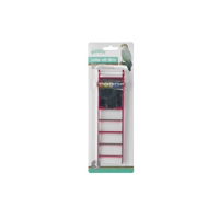 Bird ladder with mirror