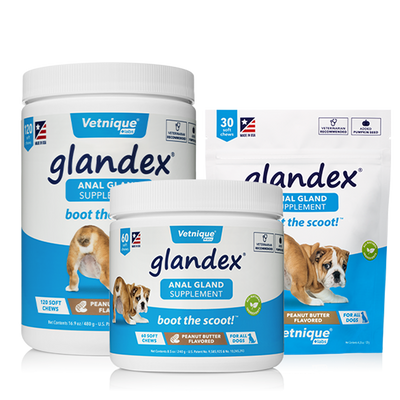 Foto van Glandex Soft Chew 240 g (60 pcs)