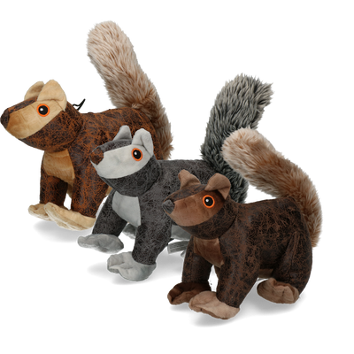 Foto van Elegant Squirrel Grijs