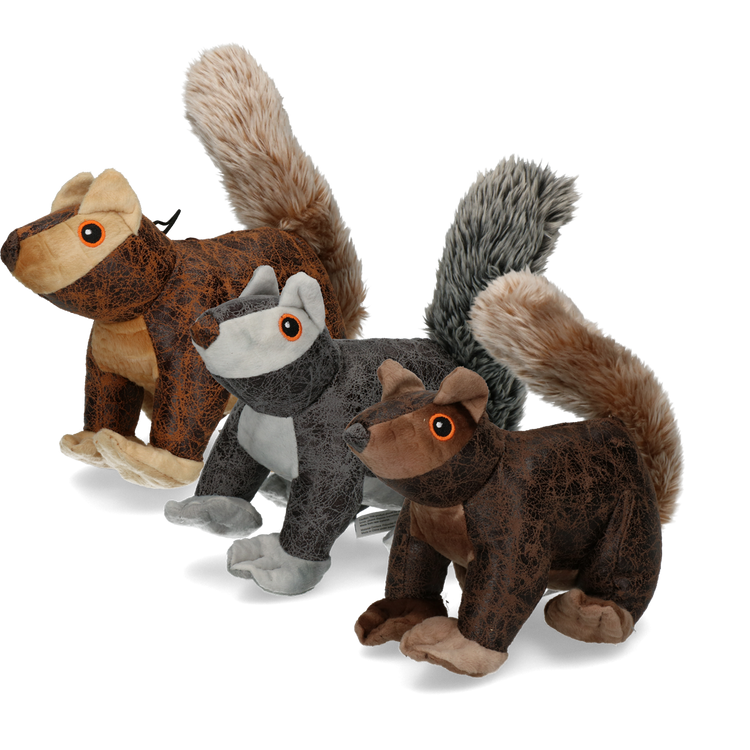 Foto van Elegant Squirrel Grijs