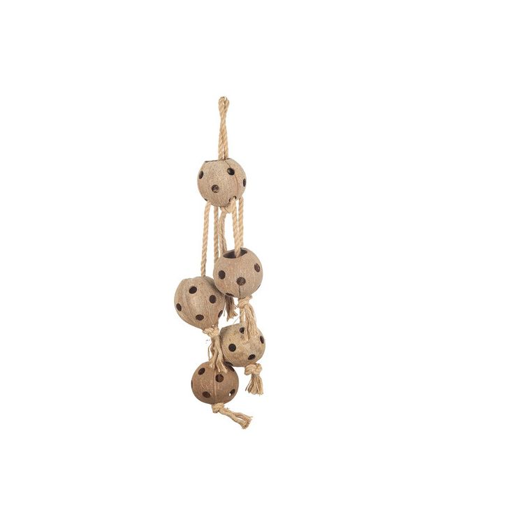 Homestyle Vogelspeelgoed coconut swing Foto van Homestyle Vogelspeelgoed coconut swing