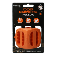 Dog Comets Pollux Oranje