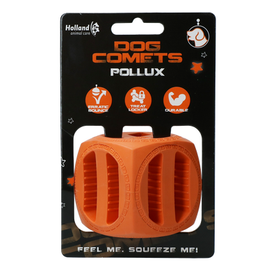 Foto van Dog Comets Pollux Oranje