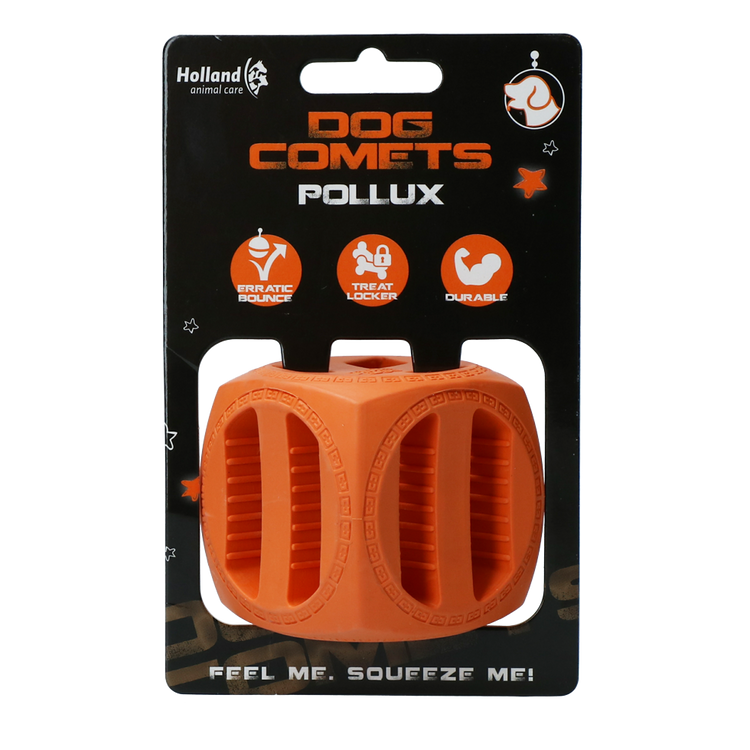 Foto van Dog Comets Pollux Oranje
