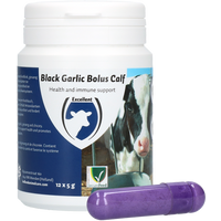 Black Garlic Bolus Calf