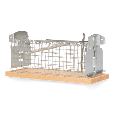 Foto van Classic Muizenkooi