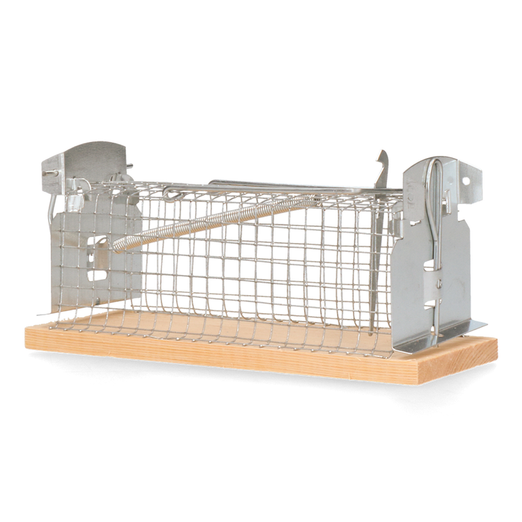 Foto van Classic Muizenkooi