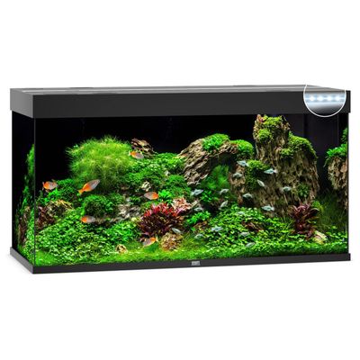 Foto van Juwel Aquarium Rio 350 LED