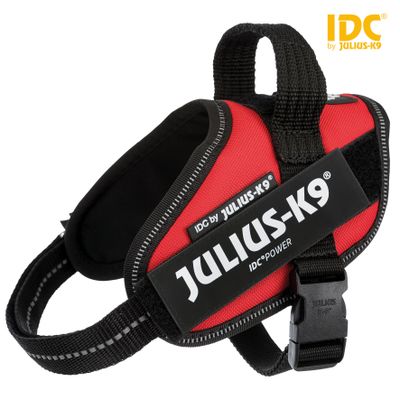 Julius IDC® Powertuig Foto van Julius IDC® Powertuig