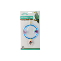 Bird squatting circle