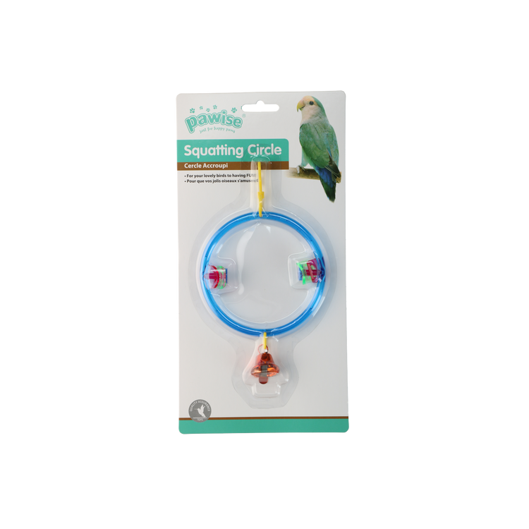 Foto van Bird squatting circle