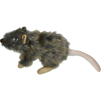 Foto van Wild Life Dog Rat