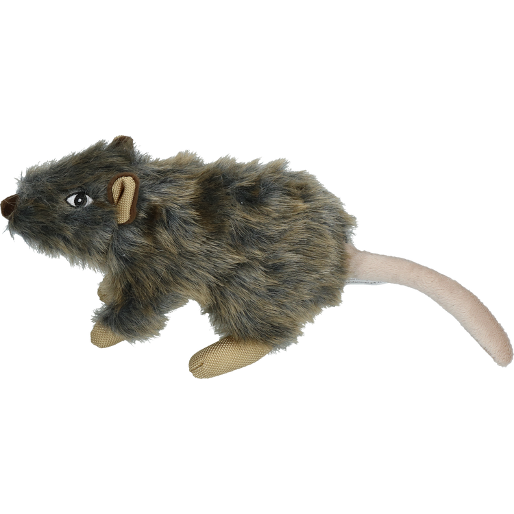 Foto van Wild Life Dog Rat