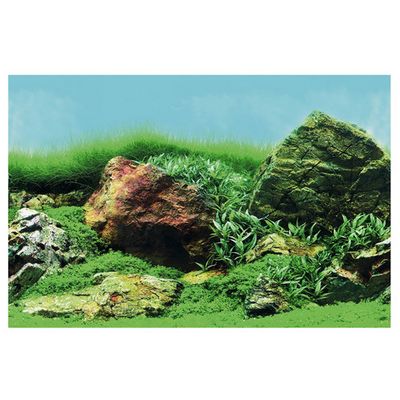 Foto van SuperFish Deco Poster