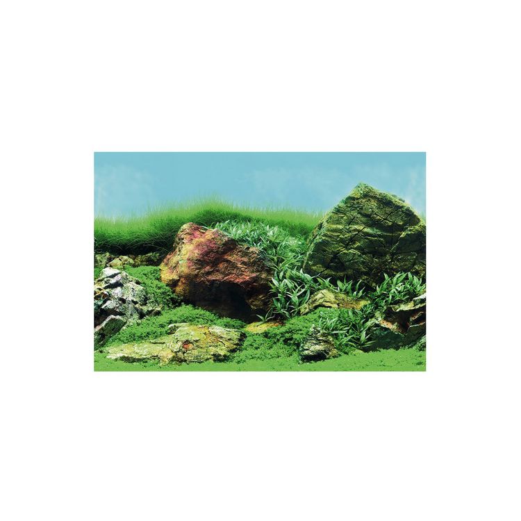 Foto van SuperFish Deco Poster