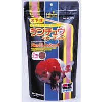 Hikari Lionhead Mini