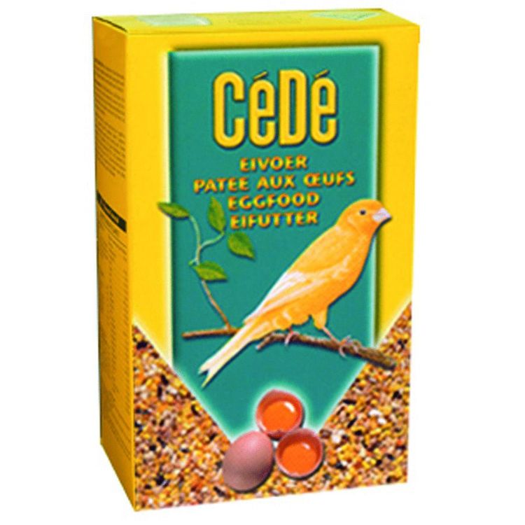 Cede Eivoer kanarie Foto van Cede Eivoer kanarie