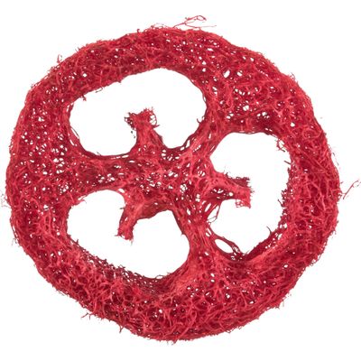 Foto van Trixie Set schijven luffa - 4 stuks