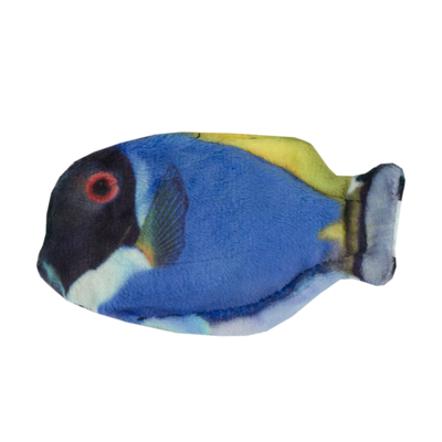 Foto van Wild Life Cat Blue Tang (Blauwe Doktersvis)