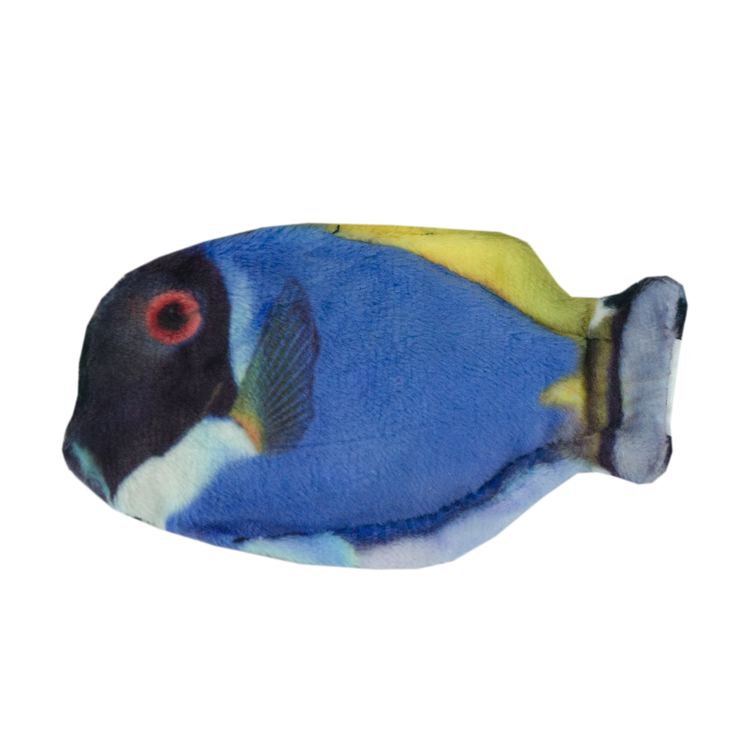 Foto van Wild Life Cat Blue Tang (Blauwe Doktersvis)