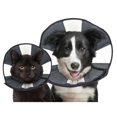 Foto van Zenpet Procone L